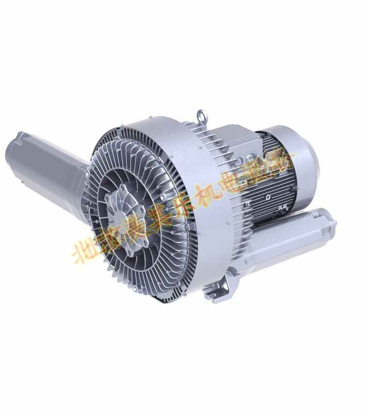 2GH920(16.5kw、20kw、25kw)高壓鼓風(fēng)機(jī)